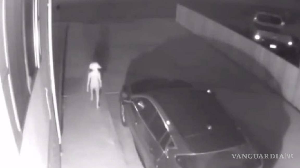 $!Encuentran caminando a un elfo igual a Dobby de Harry Potter