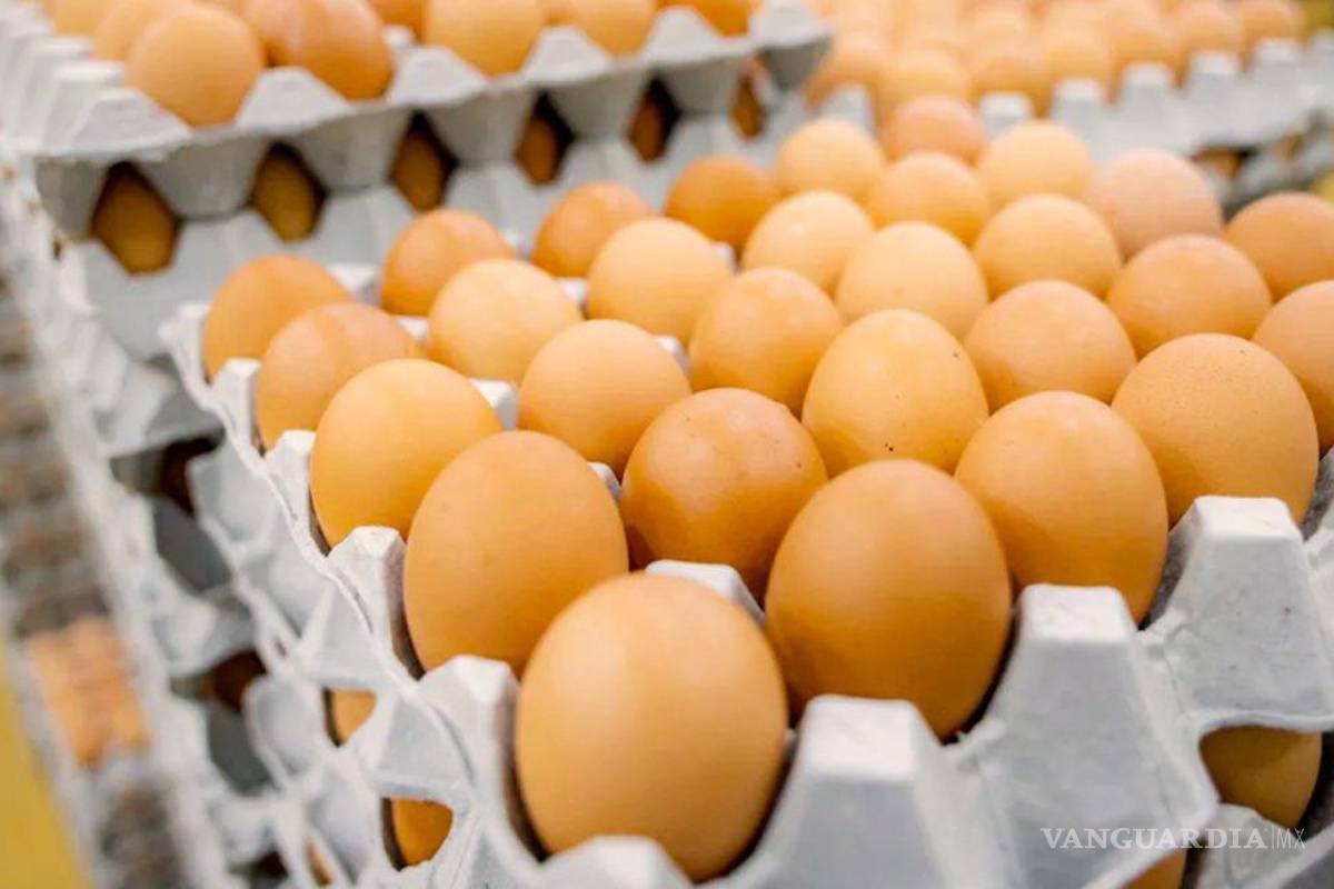 Agárrese, los huevos subirán hasta 15% más
