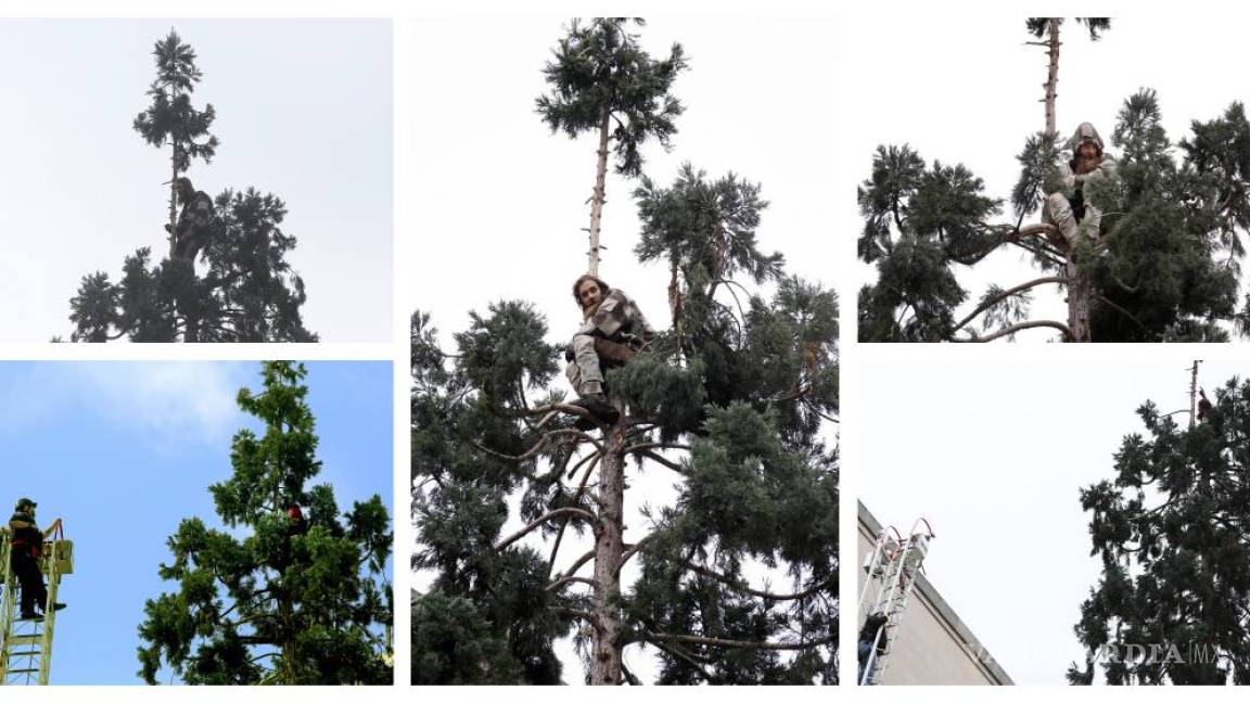 Hombre escala árbol de 24 metros y pasa allí un día entero en Seattle