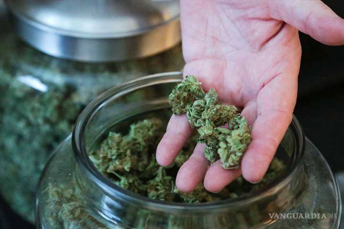 Suprema Corte concede nuevo amparo para uso lúdico de mariguana