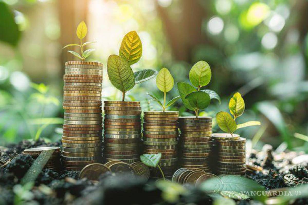 La inversión privada como motor clave para el desarrollo sustentable en México