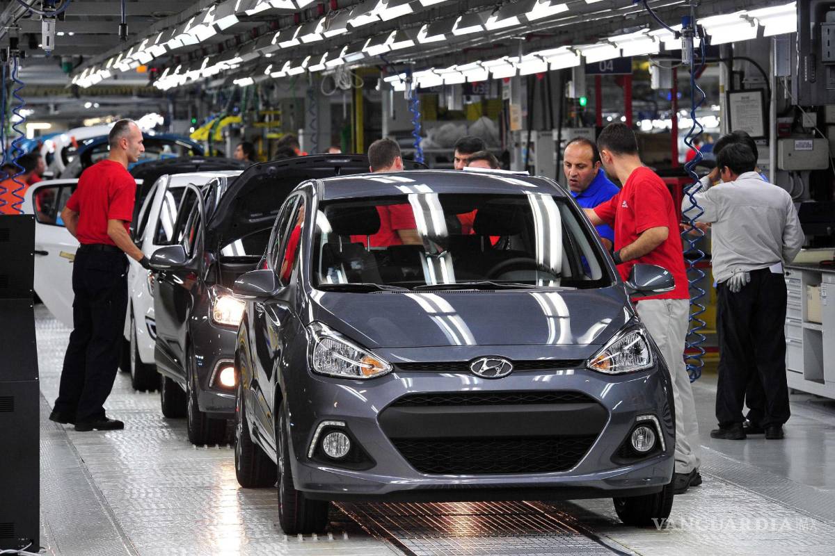 Quiere la Laguna su propia armadora; prepara proyecto