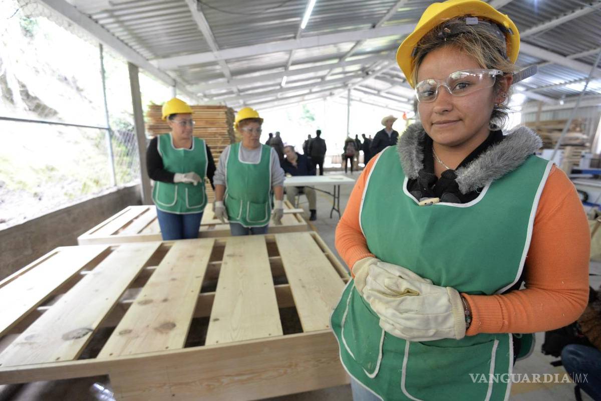 Mujeres y jóvenes, activos de la industria en La Laguna