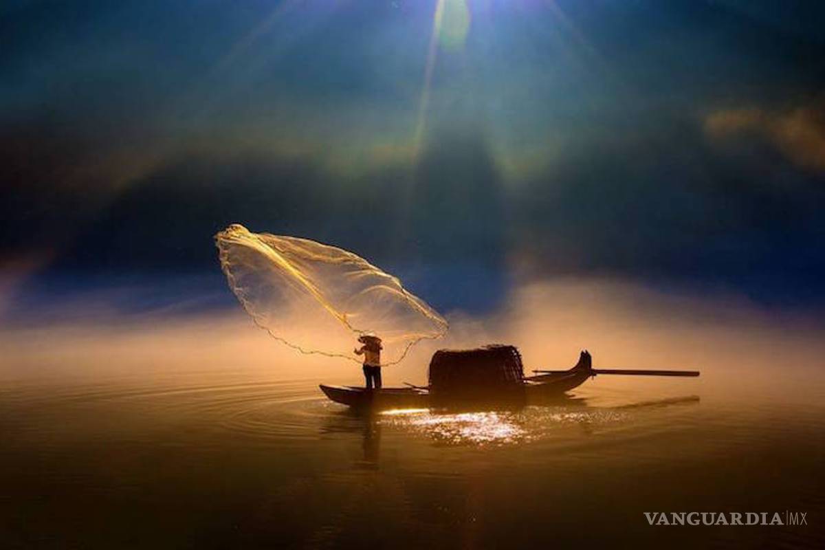 $!Los extraordinarios ganadores de los Premios Internacionales de Fotografía de Siena 2016