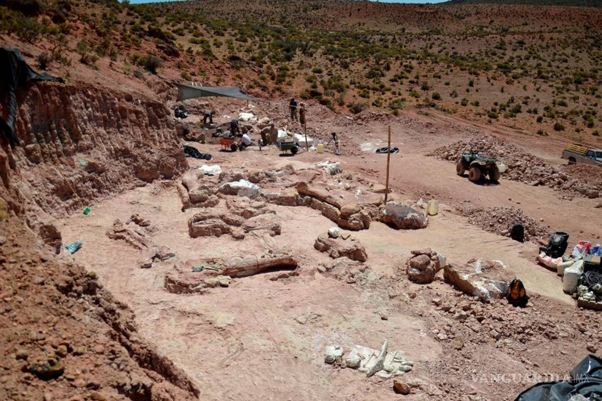 $!Patagotitan mayorum, el dinosaurio más grande del mundo