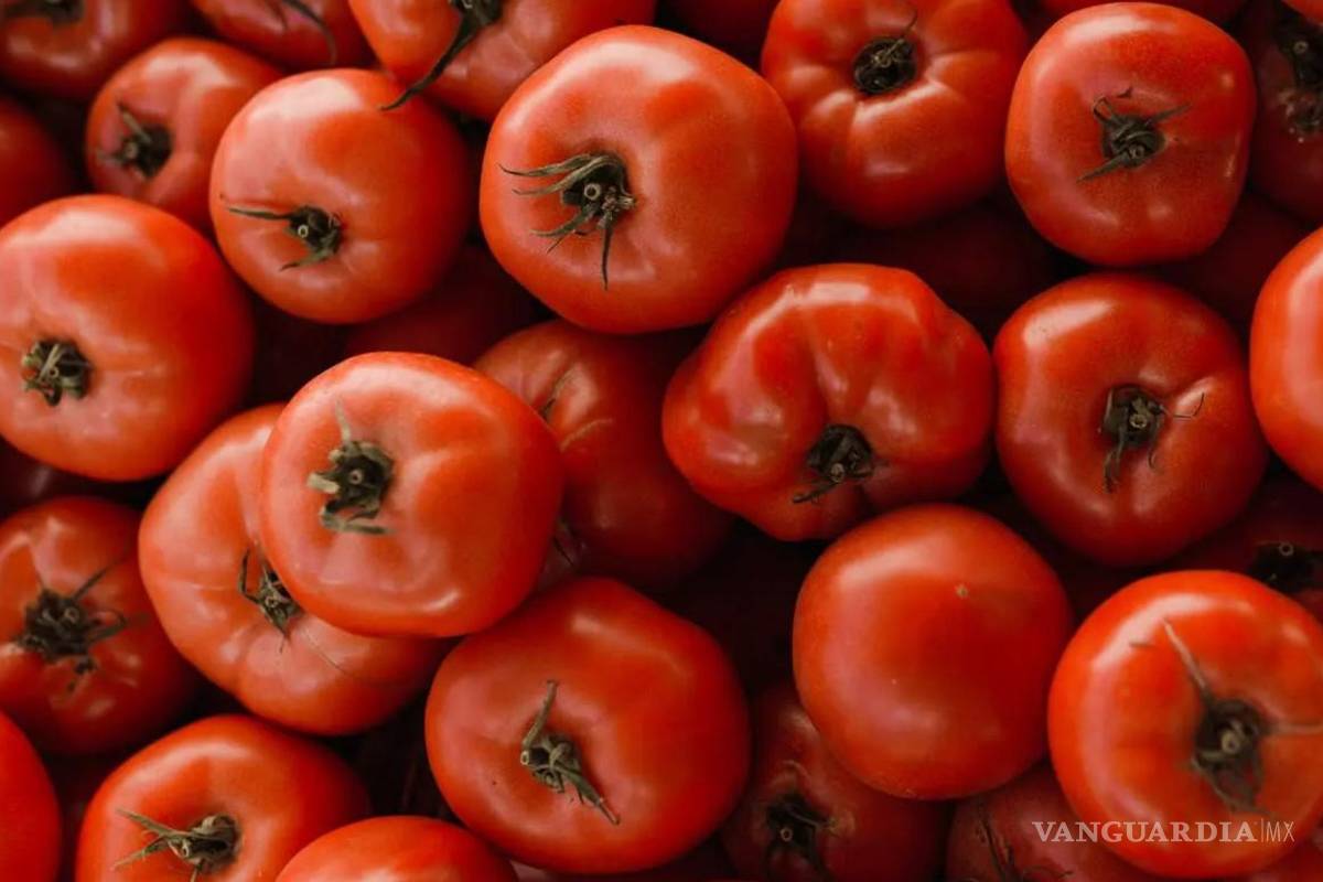 Alcanzan EU y México acuerdo por arancel al jitomate: Seder