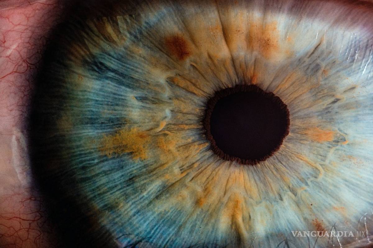 $!Pupilas oculares guardan huellas de las experiencias traumáticas que ha sufrido una persona