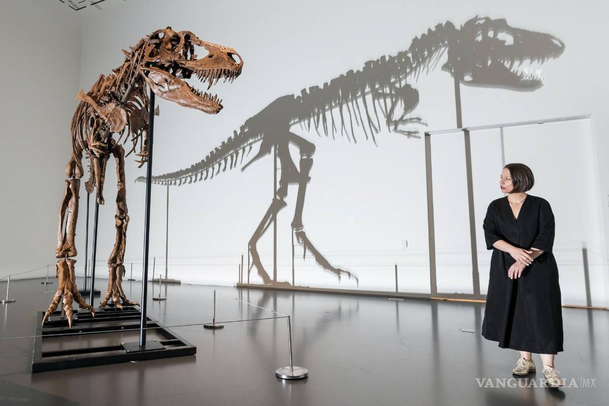 Subastan el esqueleto de un dinosaurio de hace 77 millones de años