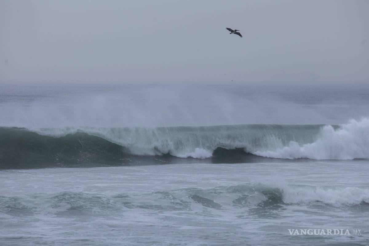 ¿Estás de vacaciones en la playa? Así debes actuar si suena una alerta de tsunami