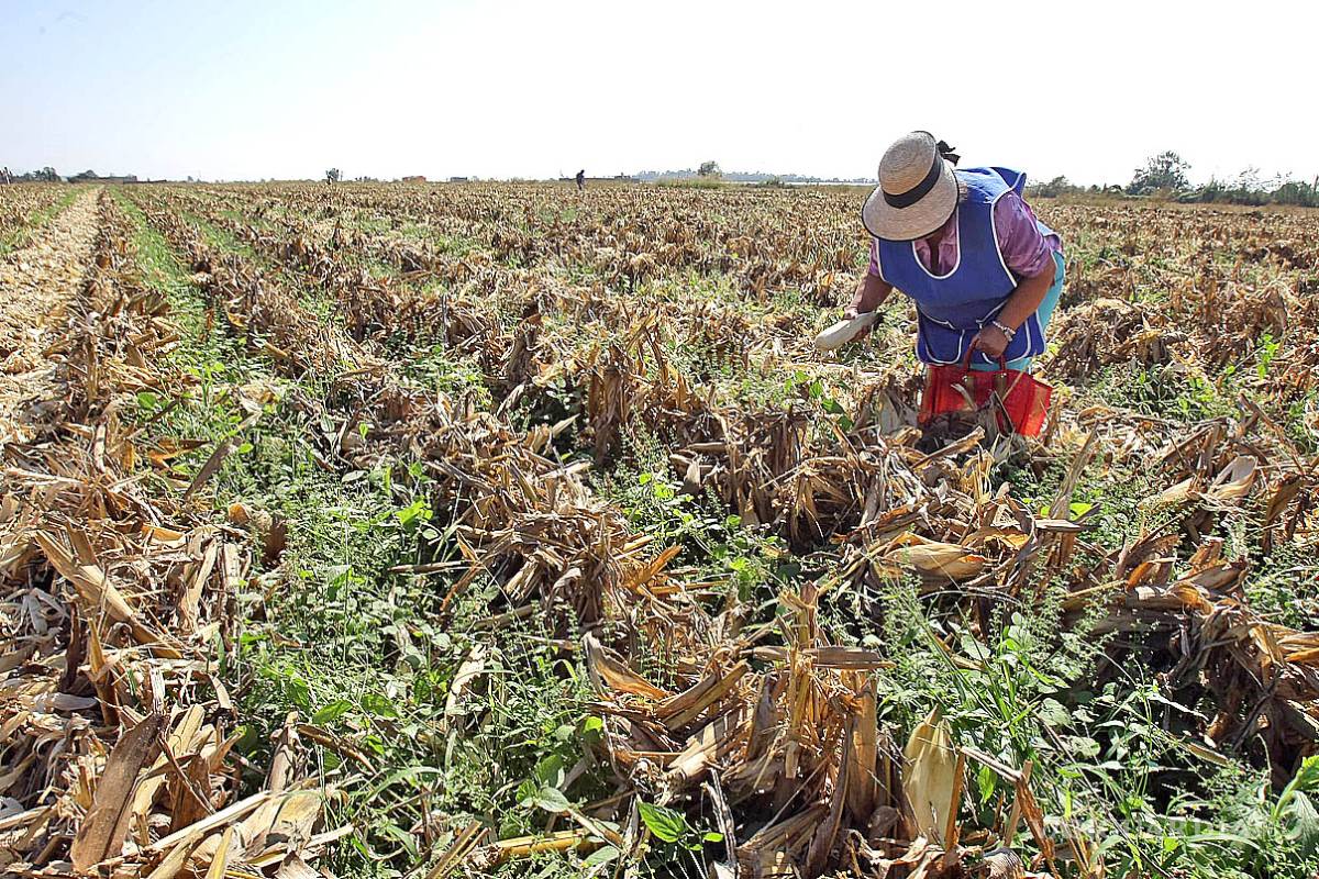 Municipios del norte de Coahuila analizan reglas de operación para impulsar el campo
