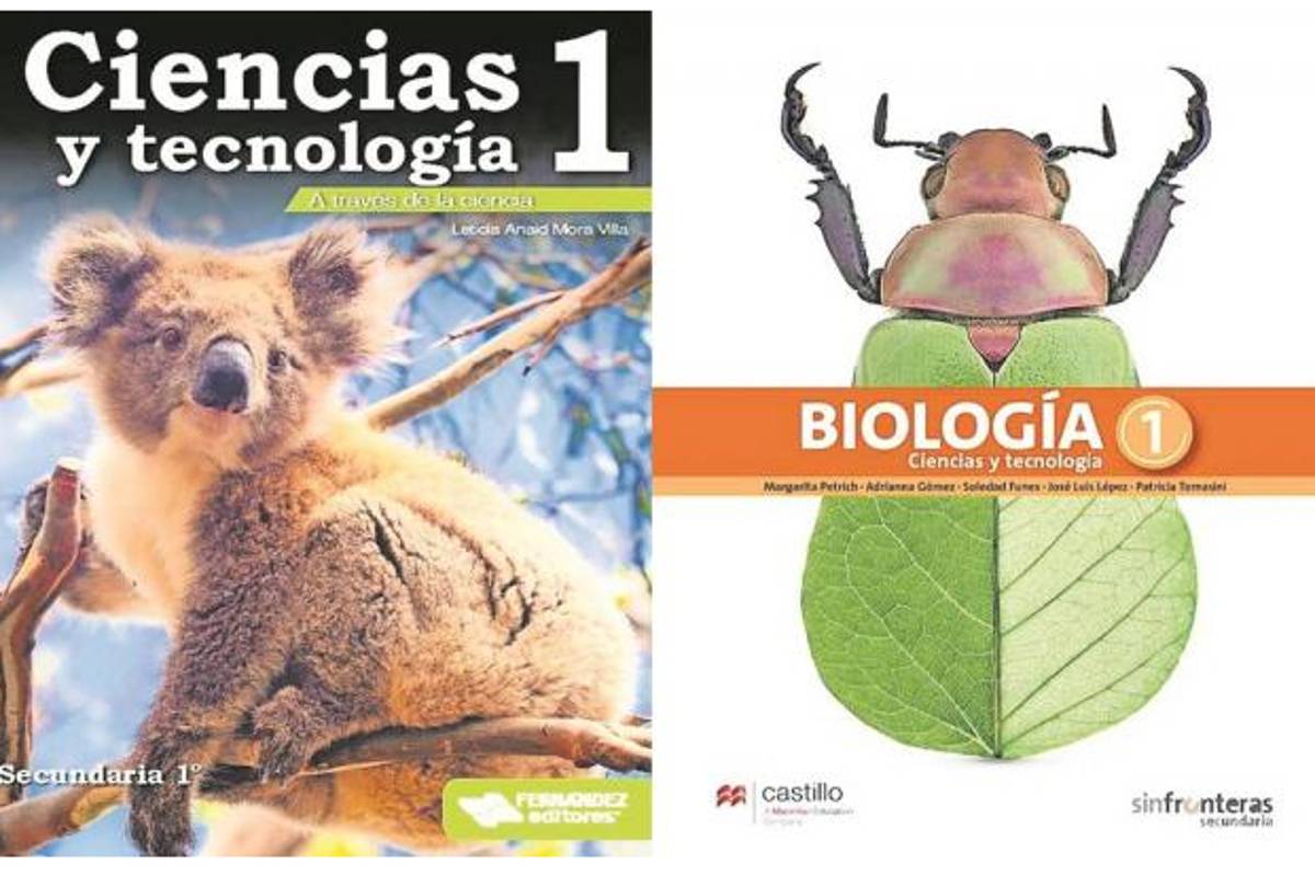 Asociaciones profamilia critican libros de texto que incluyen homosexualidad, erotismo y masturbación