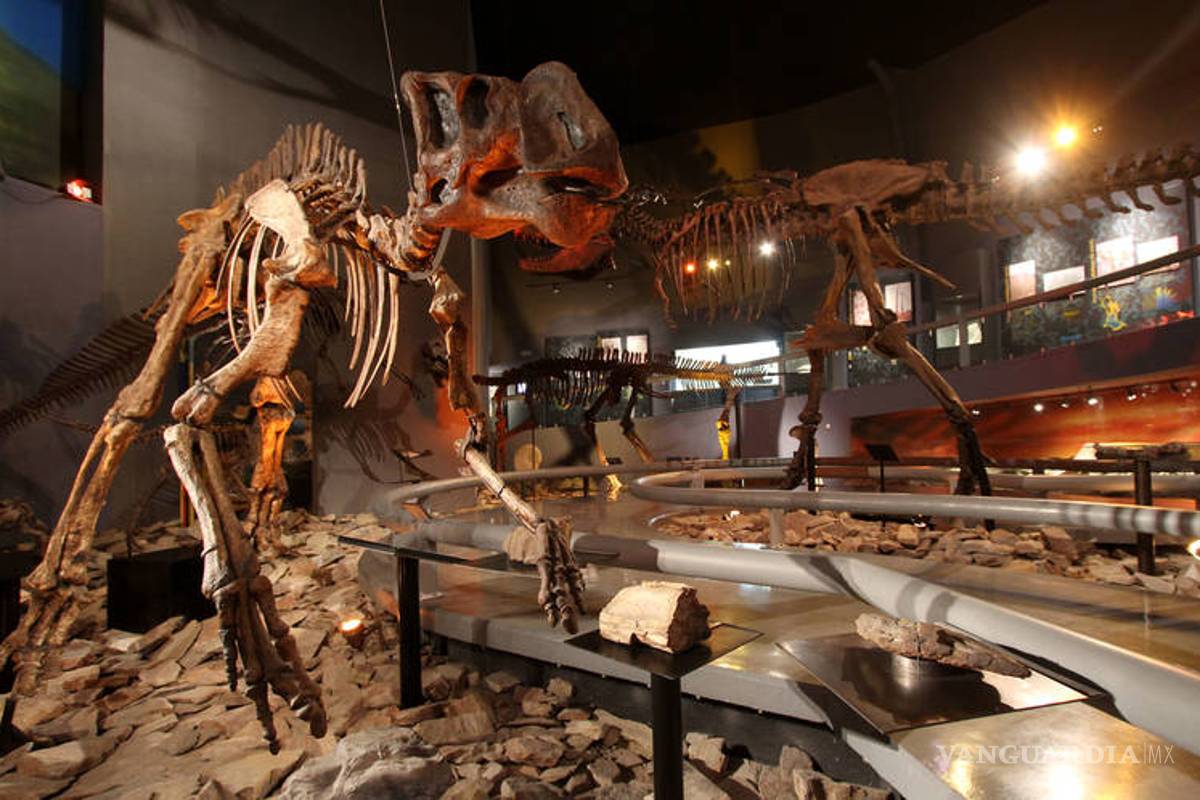Extinción de dinosaurios inició antes del meteorito