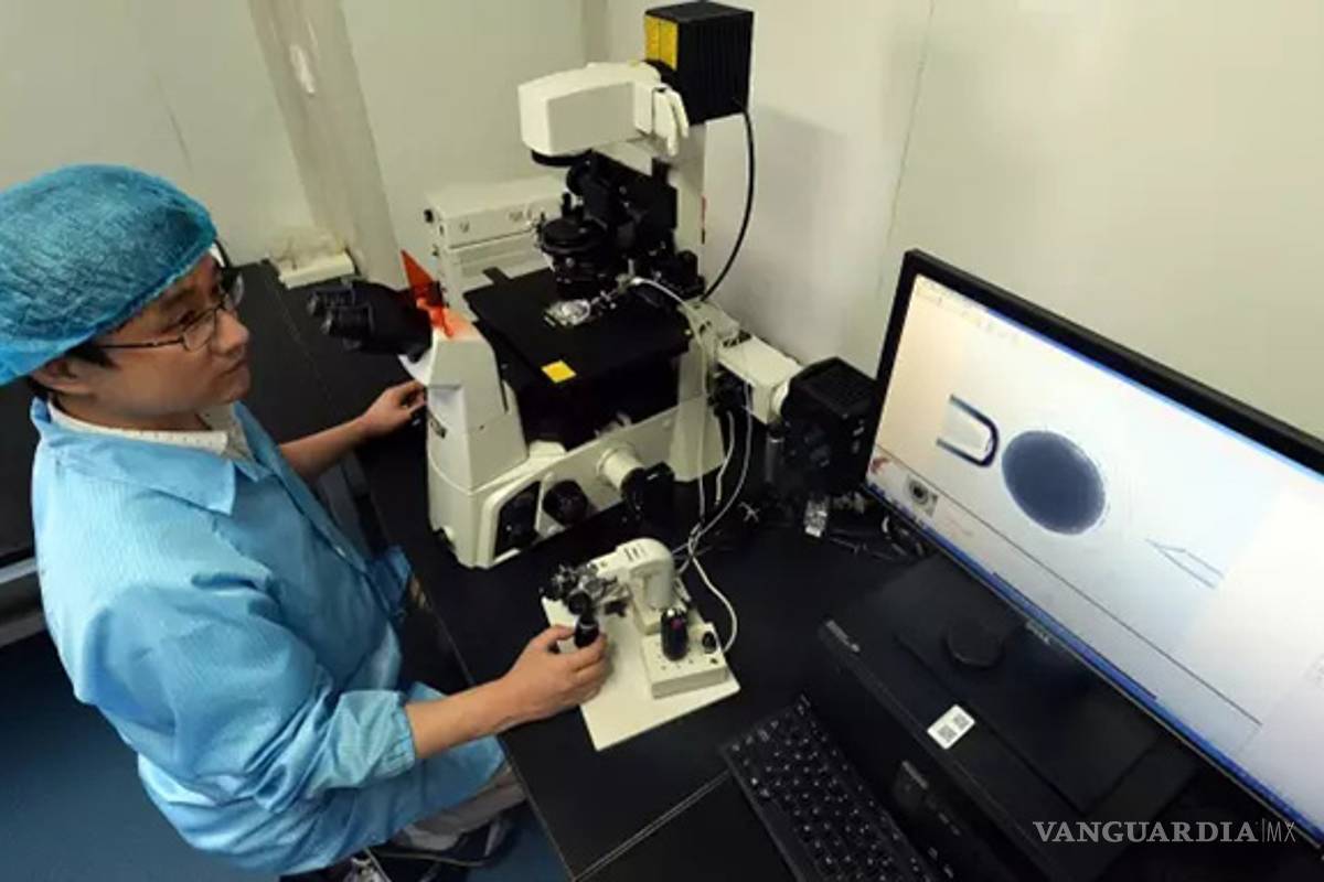 $!Científicos chinos crían primer perro del mundo clonado con edición genética