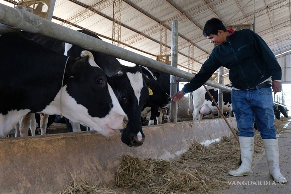 Desconocen productores de leche contenido de tratados de libre comercio