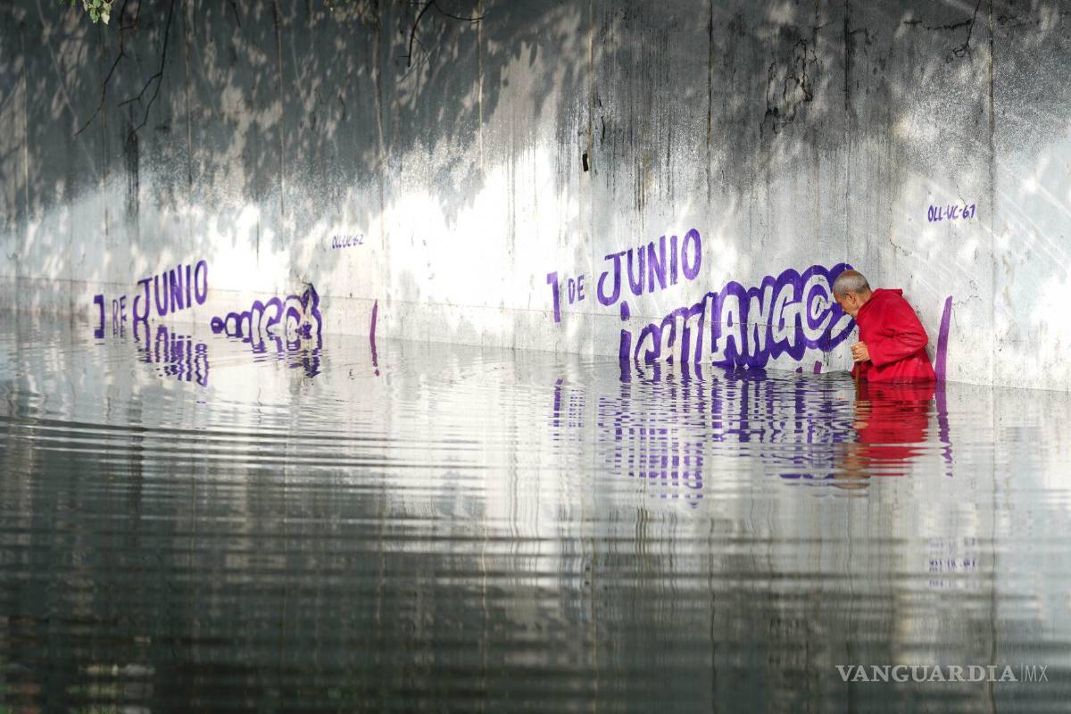 Se puede decir... Que pon tus barbas a ‘remojar’