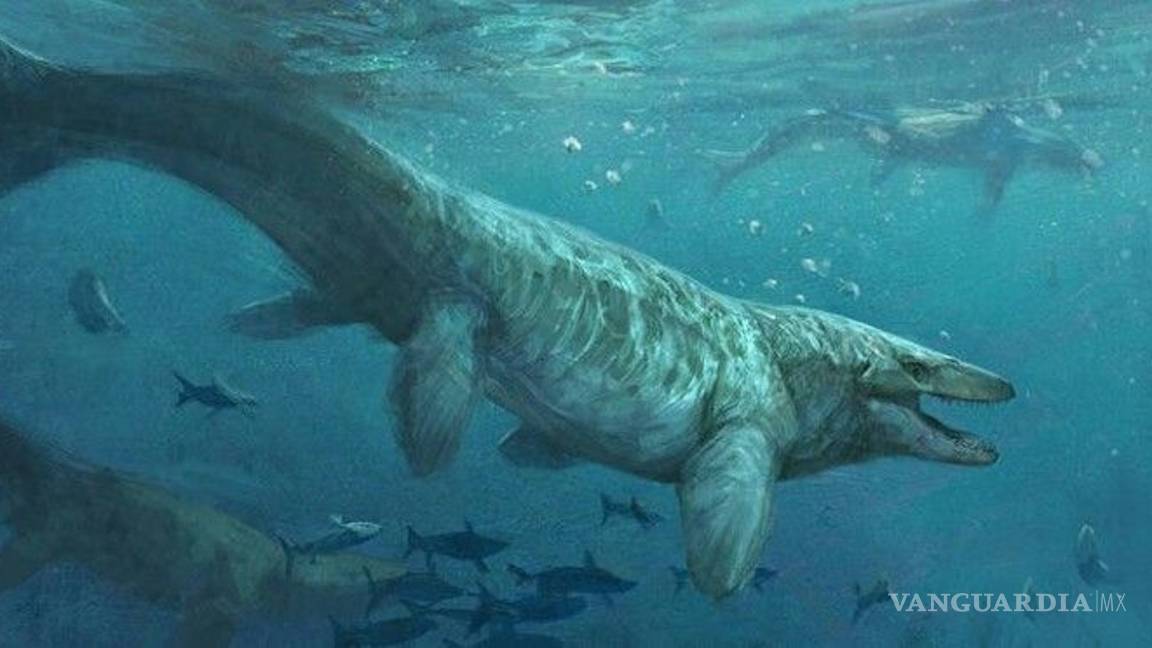 $!El asteroide que mató a los dinosaurios también extinguió a los tiburones