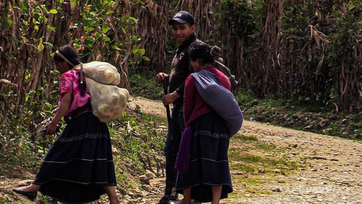 Miles de tzotziles dejan sus casas en Chiapas por el temor a ataques armados