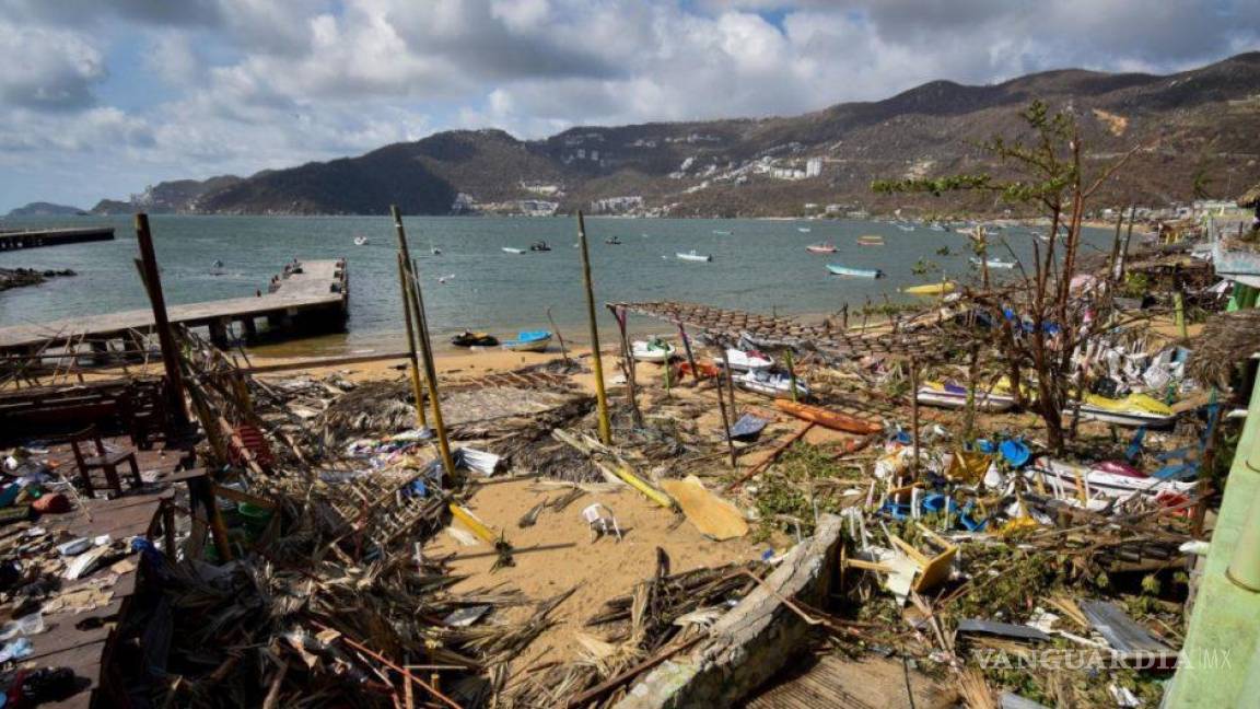 Huracán Otis no solo destruyó la infraestructura de Acapulco, sino también devastó la flora y la fauna