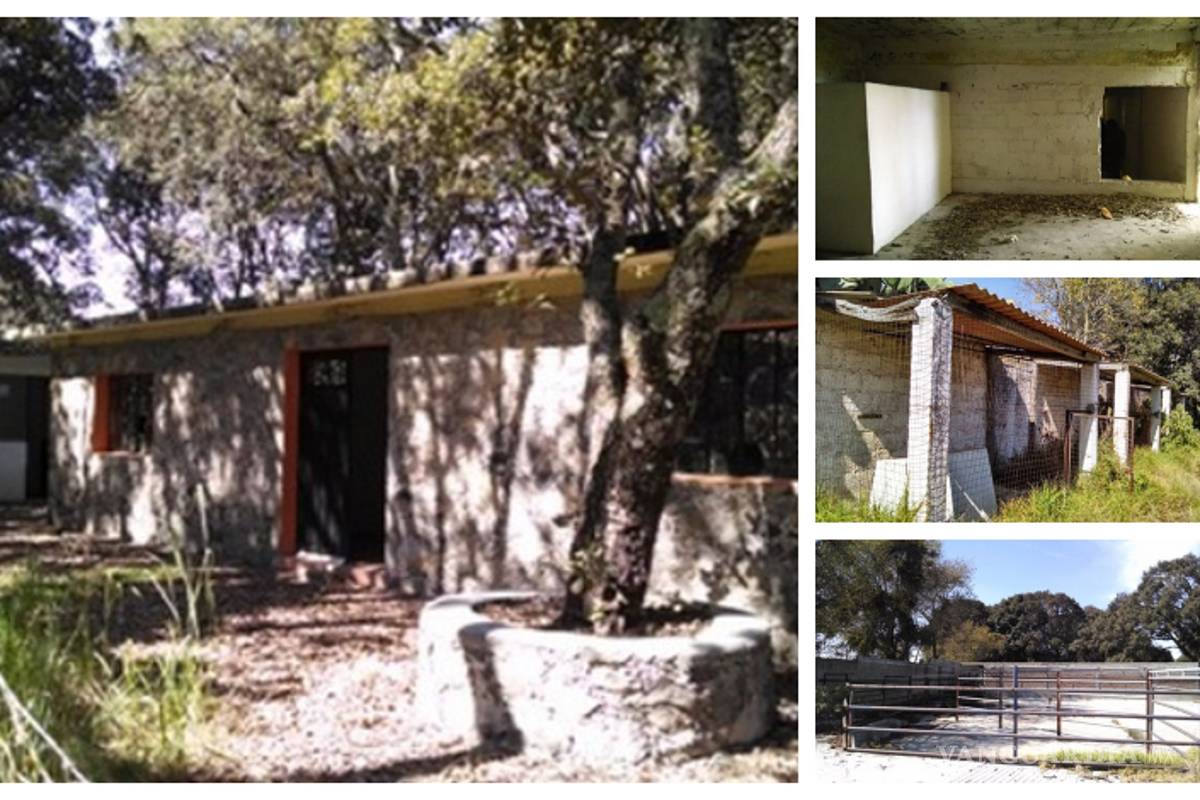 $!Estas son las casas, fincas y departamentos de narcos que subastará el gobierno