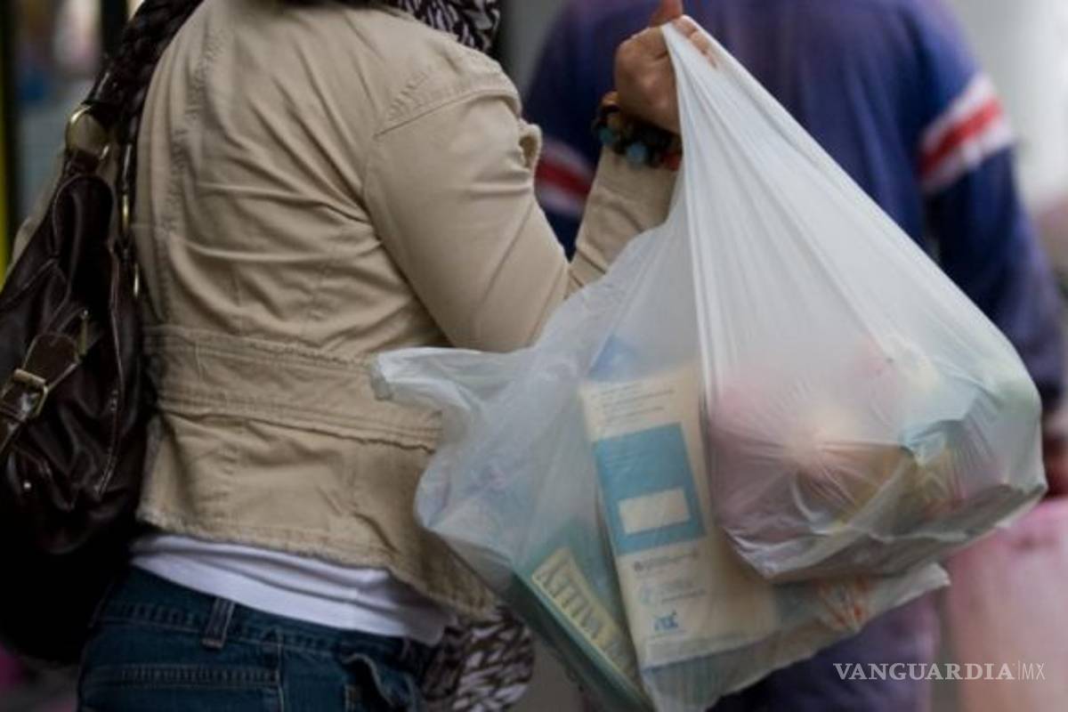 Prohíben bolsas de plástico en centros comerciales de Hidalgo