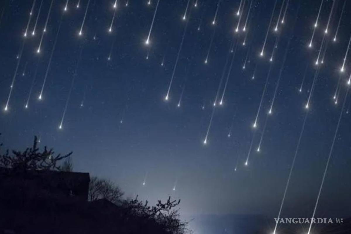 Así podrás ver la primera lluvia de estrellas del 2023