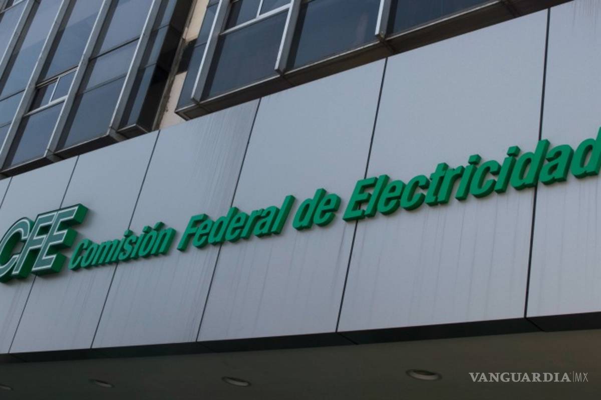 CFE tendrá fuertes pérdidas, advierte Bartlett