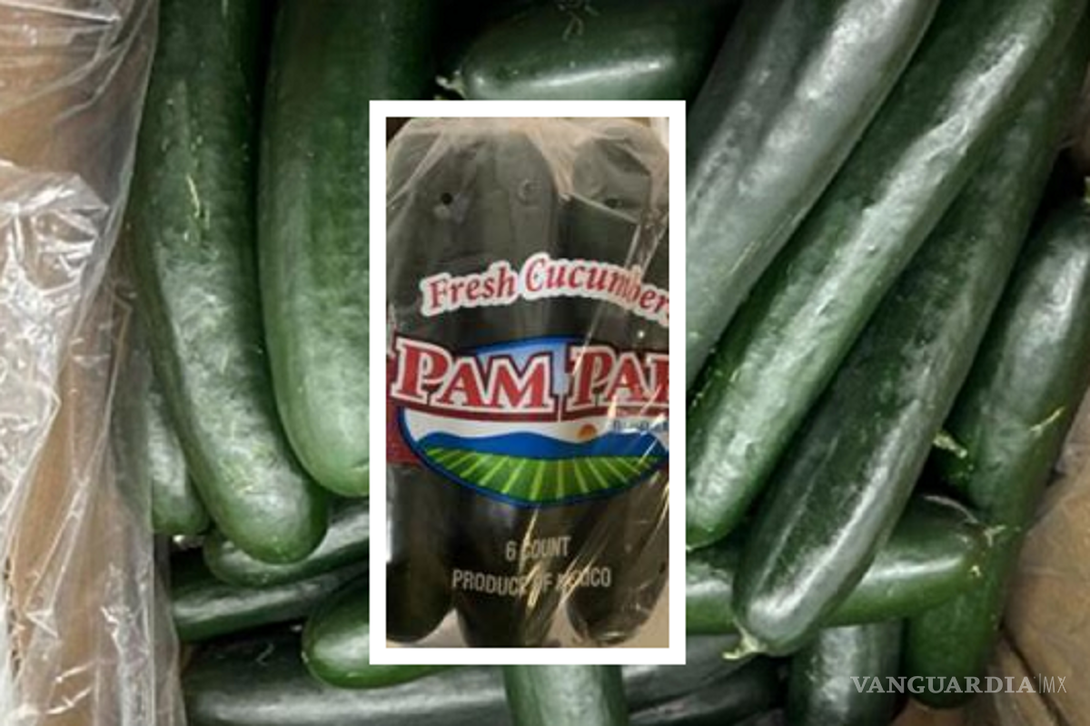 Acusan a pepinos de Sonora de causar brote de salmonella en Estados Unidos