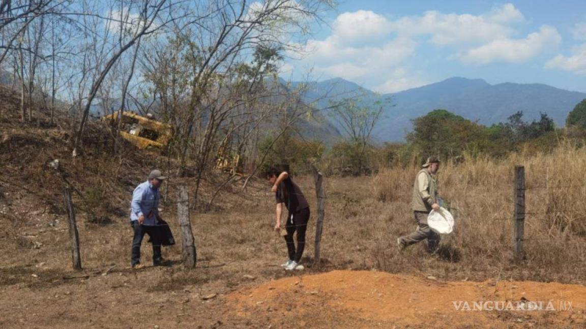 Sacan barita de mina en Chiapas, ¡con hombres armados!