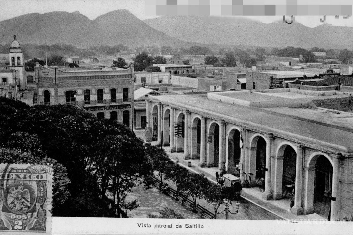 Saltillo: De todo, como en botica