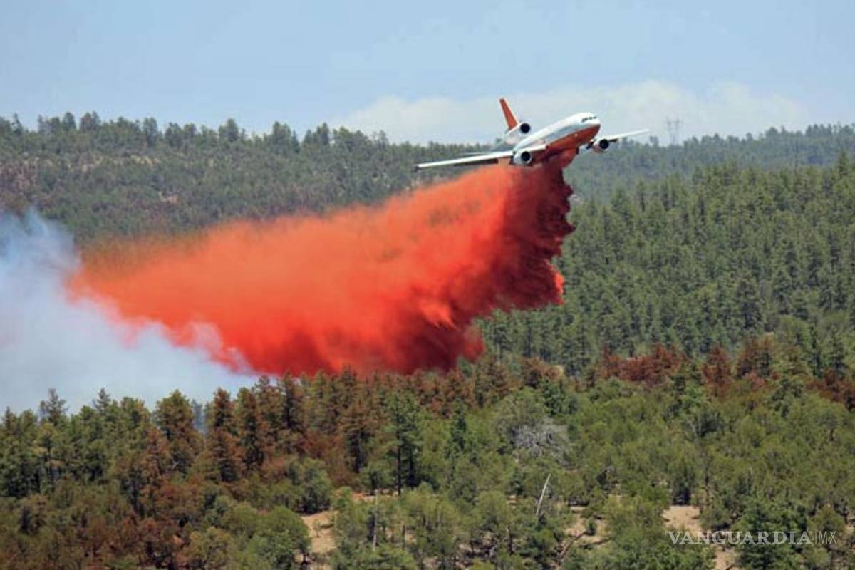 Avión súper tanker se sumará a combate de incendio en sierra de Arteaga