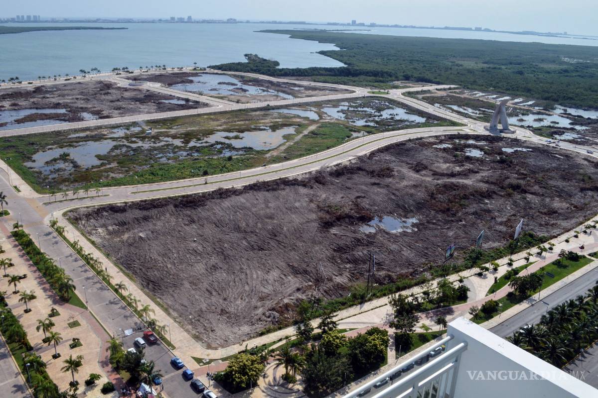 Ni ecocidio ni devastación ecológica en Tajamar, afirma la Profepa