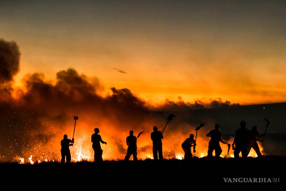 Tu jugo del día: INE, Tribunal y Fepade piden confianza en el sistema electoral; tiroteo en un periódico local de Annapolis deja varios muertos y más noticias...