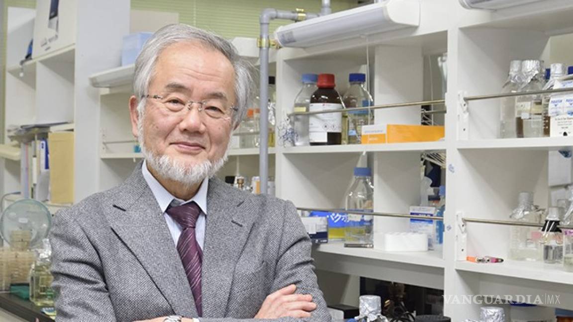 Yoshinori Ohsumi gana el premio Nobel de Medicina 2016 por iluminar el sistema de reciclaje del cuerpo