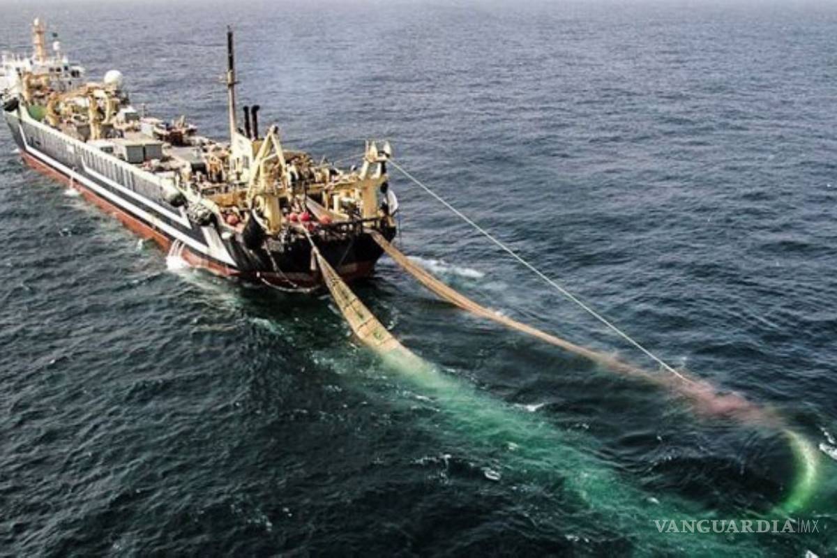 Pesqueros piden a AMLO quitar impuesto a gasolina y diésel marino