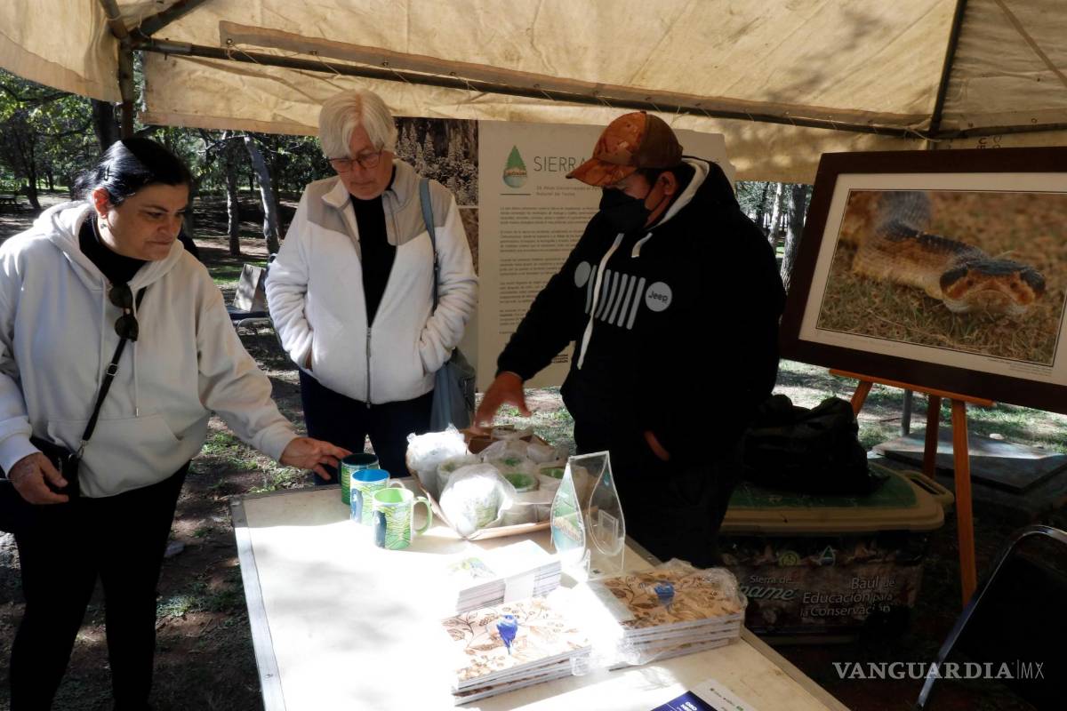 Organiza Sema bazar segunda oportunidad para el oso negro