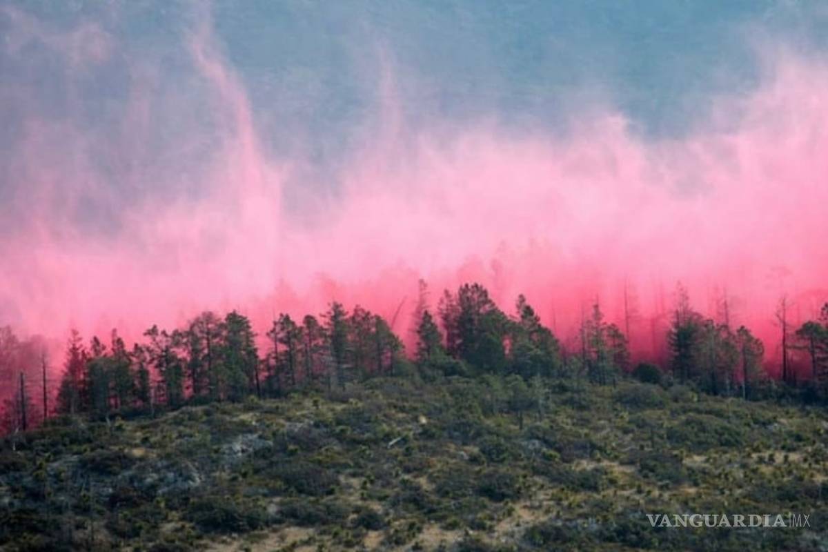 $!Con la ayuda de un avión DC -10 controlan el incendio en Arteaga (fotos)