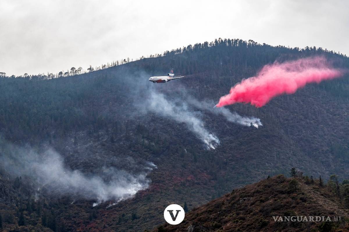 Con la ayuda de un avión DC -10 controlan el incendio en Arteaga (fotos)