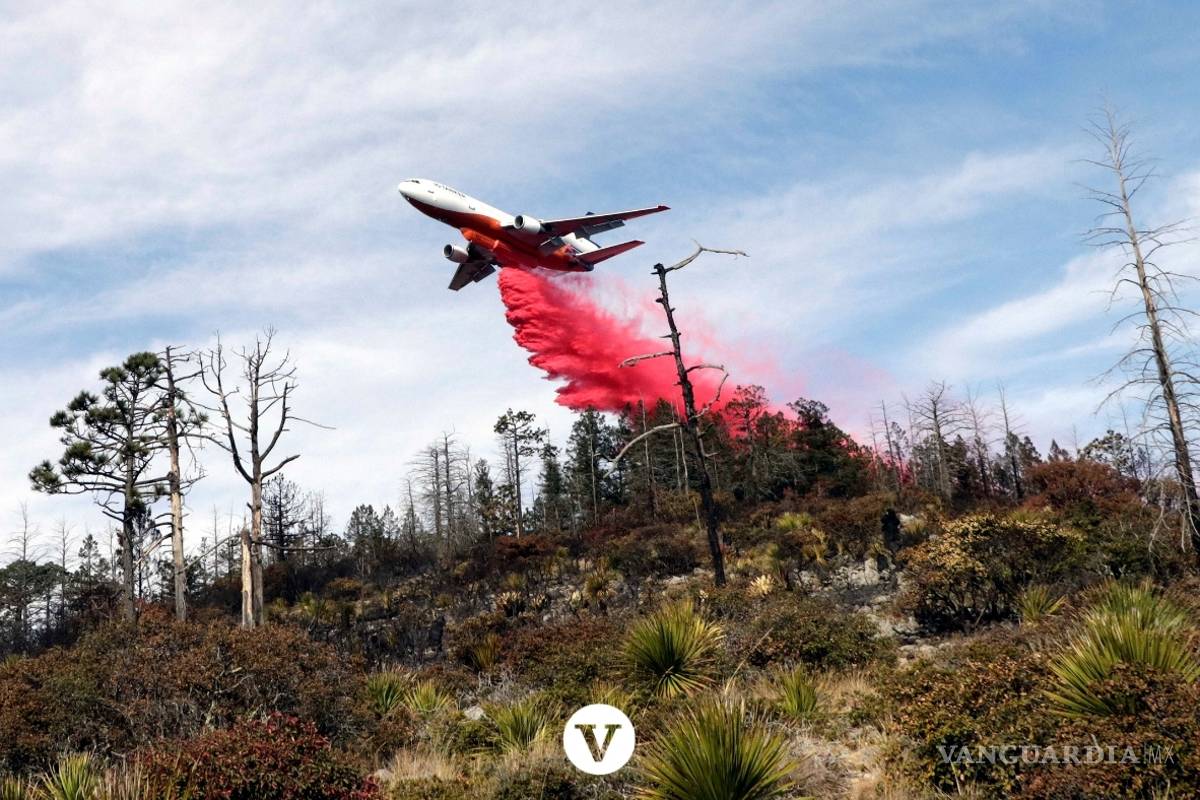 $!Con la ayuda de un avión DC -10 controlan el incendio en Arteaga (fotos)