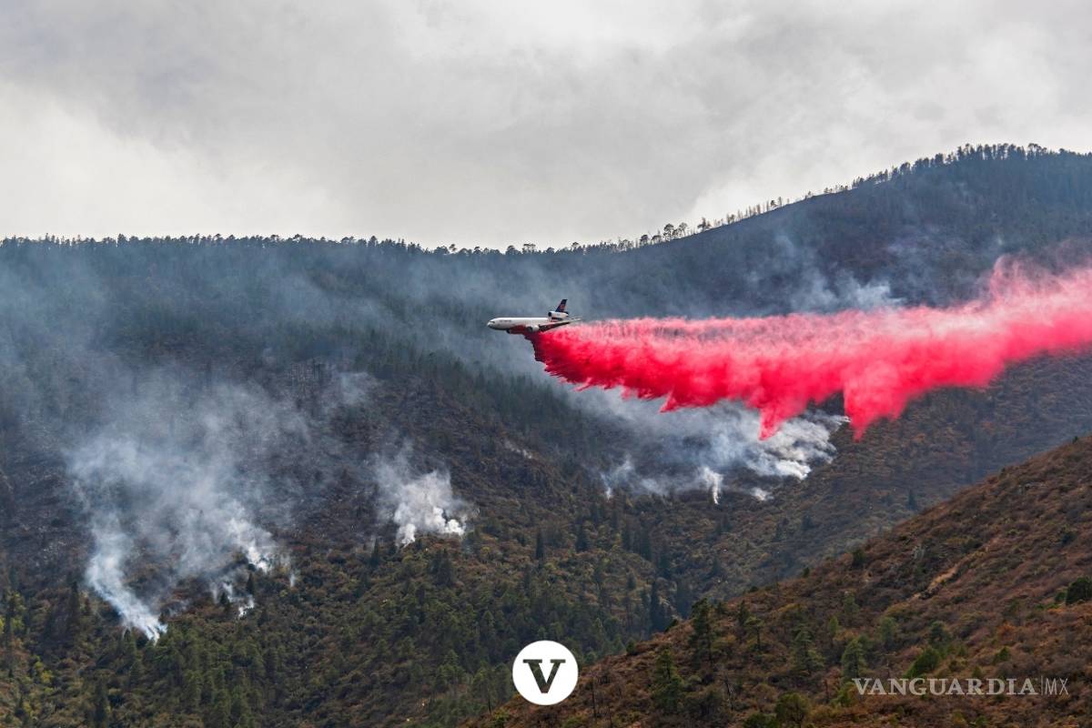 $!Con la ayuda de un avión DC -10 controlan el incendio en Arteaga (fotos)