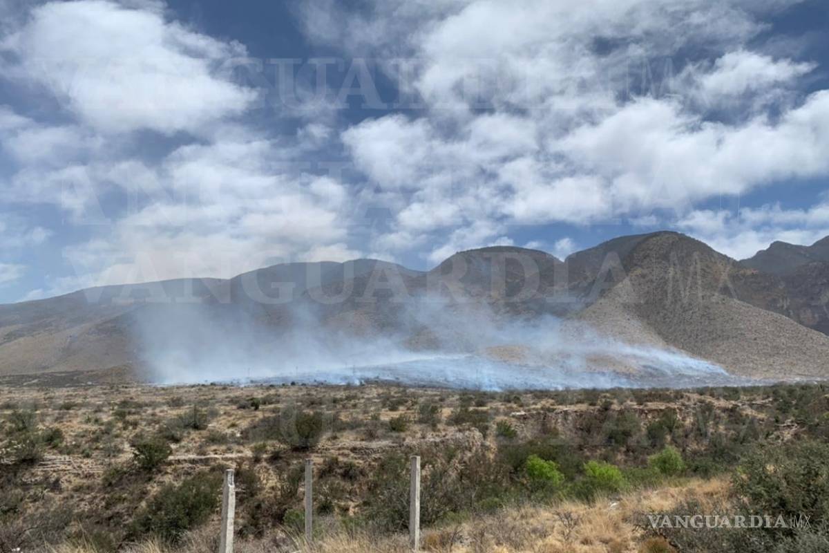 Aún sin registro de hectáreas consumidas por incendio en Zapalinamé; combaten 200 personas el fuego