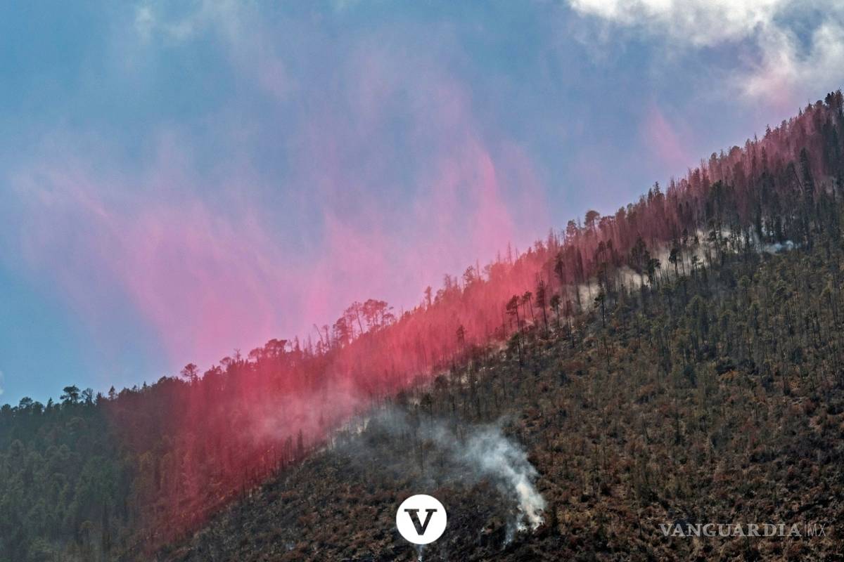 $!Con la ayuda de un avión DC -10 controlan el incendio en Arteaga (fotos)