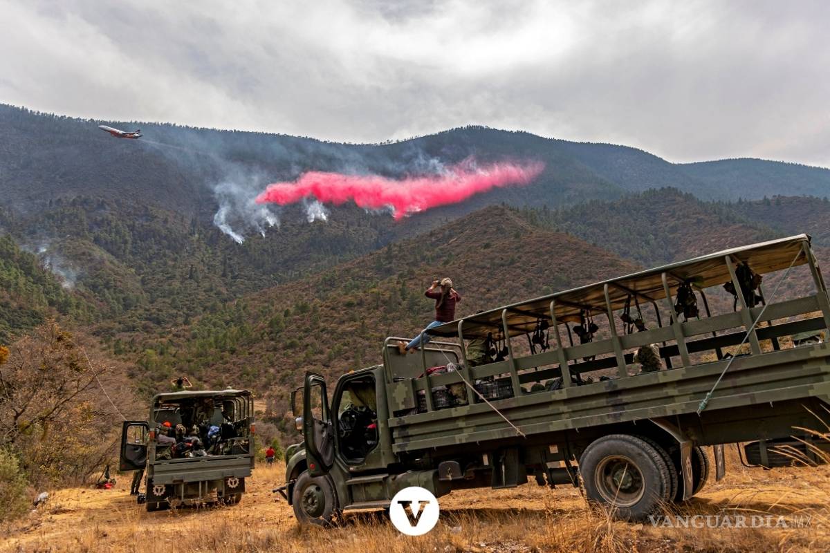 $!Con la ayuda de un avión DC -10 controlan el incendio en Arteaga (fotos)
