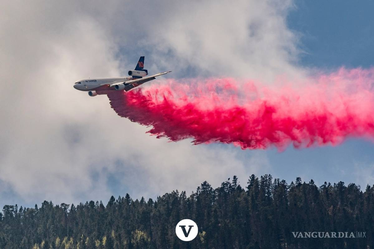 $!Con la ayuda de un avión DC -10 controlan el incendio en Arteaga (fotos)