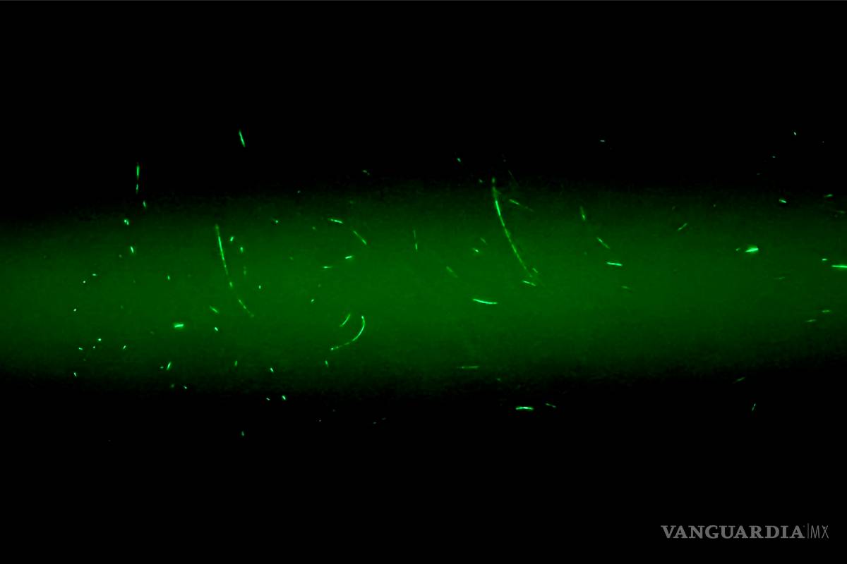 $!¿Sabes el cubrebocas que usas es eficaz para protegerte del COVID-19?