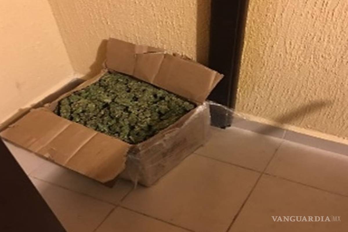 Aseguran 2 toneladas de mariguana en Apodaca