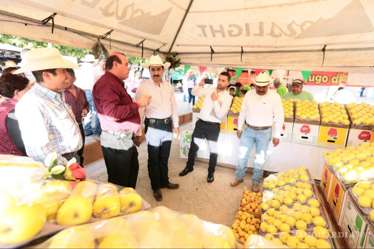 Esperan una buena cosecha de manzana