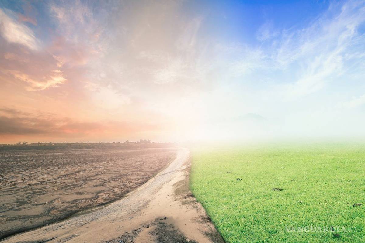 Países deben presentar compromisos climáticos mejorados en 2020: WWF