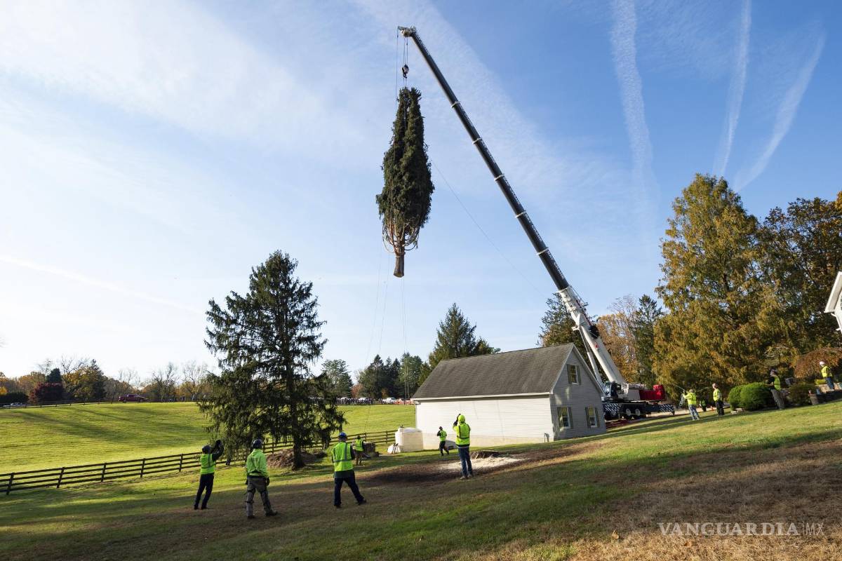 ¡Ya es Navidad! Llega a Nueva York árbol de Rockefeller Center