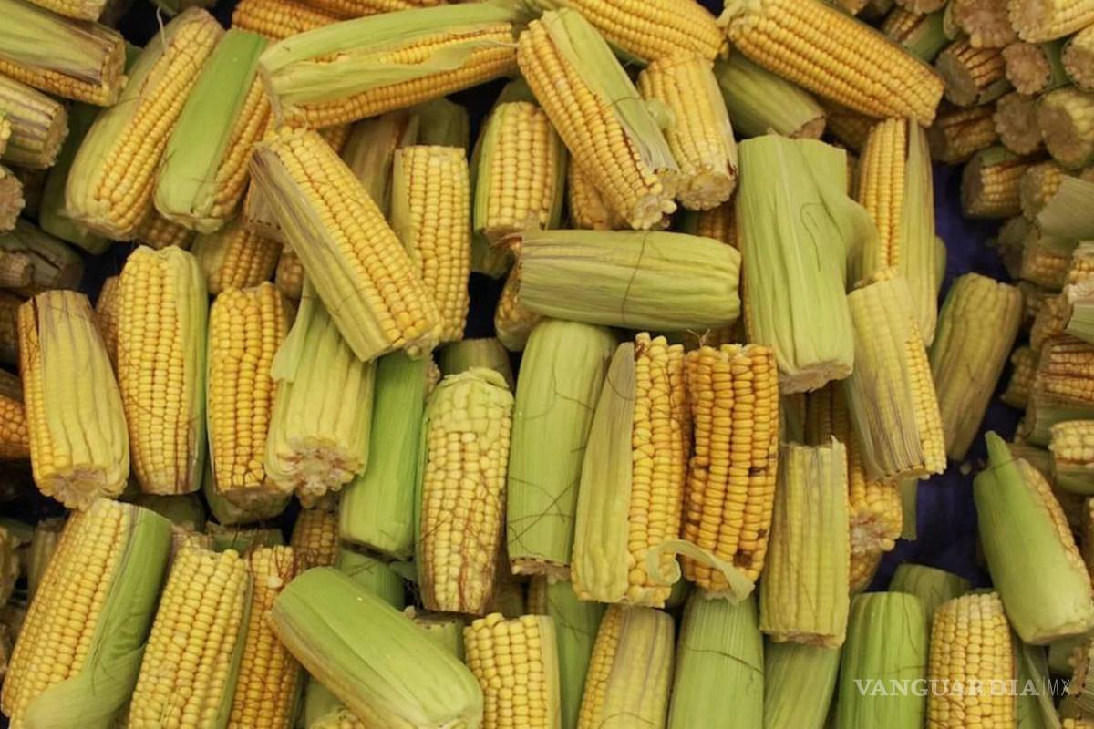 Con ‘cambalache’ México y EU buscan postergar disputas sobre maíz y energía en el T-MEC