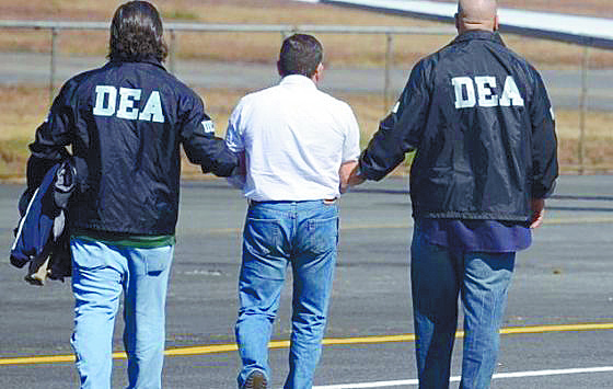 Las FARC trabajan con los cárteles mexicanos